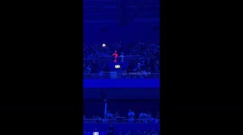 Family's LED stick figures steal show at Billie Eilish concert in Sydney