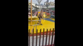 Youngster battles dizziness after Twister-like ride at amusement park