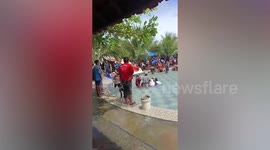 Boy, 6, drowns when his hand gets stuck in swimming pool filter