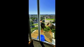 Hesitant Mexican eagles peck at ice cubes left out by homeowner for the birds