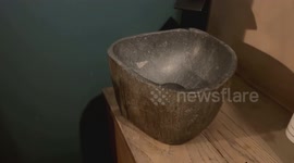 Restaurant owner stunned as woman walks in and steals entire sink from toilet