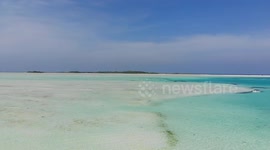 US: Coastal Marine Life Faces Urgent Threats from Development and Climate Extremes