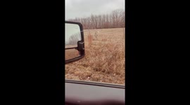 Rescued Deer Nearly Gets Stuck Again