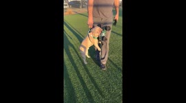 Rex Shows RC Car Who's Boss