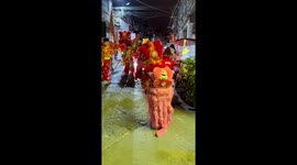 Traditional lion dancers meet adorable