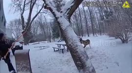 Police save deer tangled in rope in family's garden