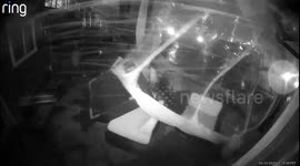 Wind blows away garden furniture in family's backyard in Seattle
