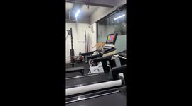 Clever pet cat climbs onto treadmill to exercise like a pro
