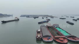 China: Shipping activities on China's longest waterway gain steam post-holiday season
