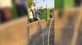Leopard falls into deep well, rescued; safely released into wild