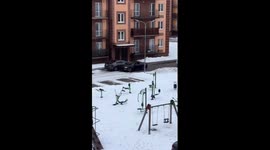 Driver in Kholmogorovka damages parked cars before arrest