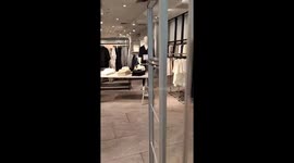 Cat peacefully naps on display inside clothing store in Makati, Philippines