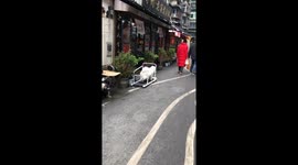 Dog runs on a small treadmill in China
