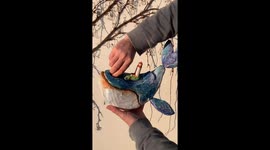 Woodcrafter showcases handcrafted whale music box in Beroun, Czech Republic