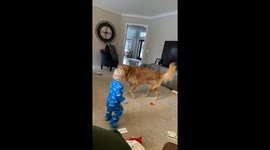 Child joyfully chases pet dog as it playfully dodges in Utah, USA