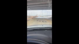 Ducks block the road and move aside after honking in Seoul, South Korea