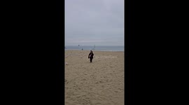 Seagull lands on girl's head and stays in Busan, South Korea