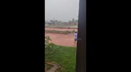 Person saves dog from heavy rain in Brasnorte, Brazil