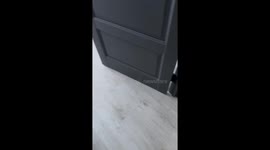 Dog caught biting owner's shoe refuses to let go in Krasnodar, Russia