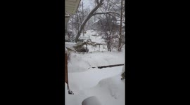 Person snowboards down snowy street in Toronto