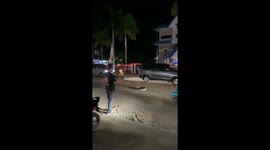 Large monitor lizard spotted in the middle of the road in Mempawah, Indonesia