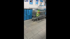 Shopper finds unique way to keep dogs nearby in Minsk, Belarus