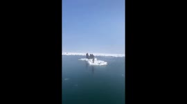 Fishermen use fishing rods to escape drifting ice floes in Sakhalin, Russia