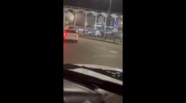 Raccoons mating on moving taxi roof in Sochi, Russia