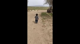 Child chases ducks in kyrgyzstan video