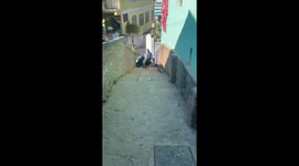 Dog picks up parcel from delivery person in Srinagar, India