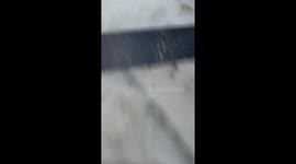 Child eats spilled food from the floor as family tries to intervene