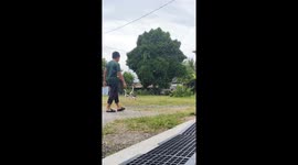 Boy startled as geese chases him in Kajang, Malaysia