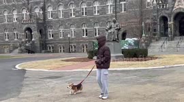 Light snow falls at Georgetown University amid winter storm in Washington DC, USA