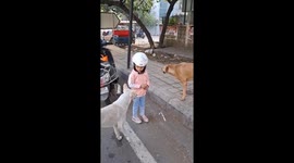 Little girl demonstrates kindness to street dogs in Bengaluru, India