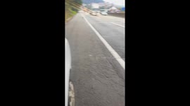 Man rescues rooster on the side of the road in Mairiporã, São Paulo, Brazil