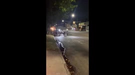 Dogs pulling a strange-looking vehicle in Buenos Aires, Argentina