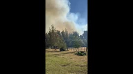 Firefighters battle relentless forest fire amid strong winds in El Bolsón, Argentina