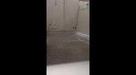 Severe hailstorm causes damage in Bahía Blanca, Argentina