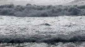 The motion of the waves of the very rough sea with reflections of the sun on the coast of Lido di Ostia in Rome.