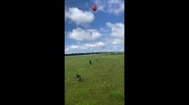 Two dogs collide while playing catch in Inaciolândia, Goiás, Brazil