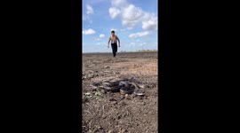 Man bitten by snake in the eyes in Florida, USA