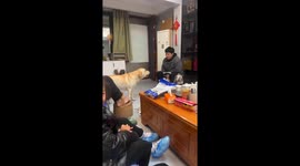 Labrador fails to jump on couch, making everyone laugh in Fujian, China