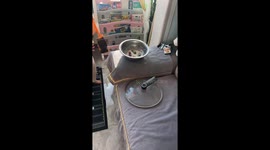 Playful child hides toys inside dough in Heilongjiang, China