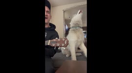 Dog joins in as guitar and vocals fill the air in Oceanside, California