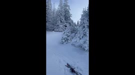 Skiing mishap in Sarajevo ends with skier in bushes