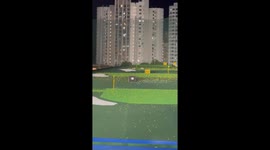 Hog in one! Wild boars invade golf driving range in Singapore