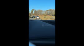Turkey Chases Reflections In Traffic