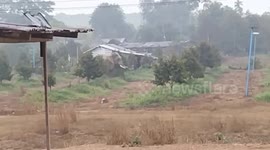 Grumpy elephant charges at motorcycle rider waving tusks inches from his head