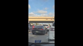 Deer Takes A Ride On Passenger Side