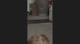 Cat Peers Through Laundry Basket